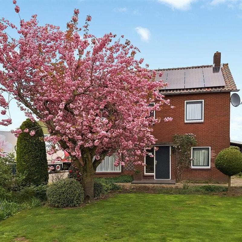 Sommerhus - 18 personer -  - Kerkweg - 4151 BS - Acquoy