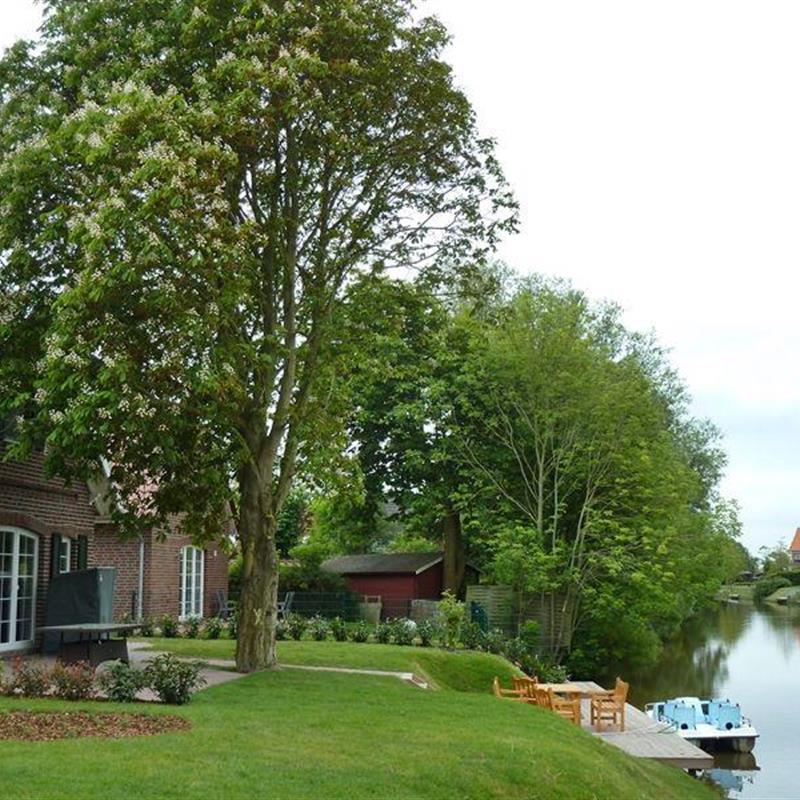 Sommerhus - 8 personer -  - Achterum - 26736 - Greetsiel