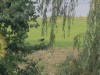 Bild 18 - Ude