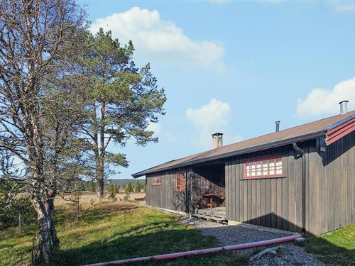 Sommerhus - 8 personer -  - Golsfjellvegen - Golsfjellet - 3550 - Gol