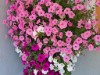 Bild 18