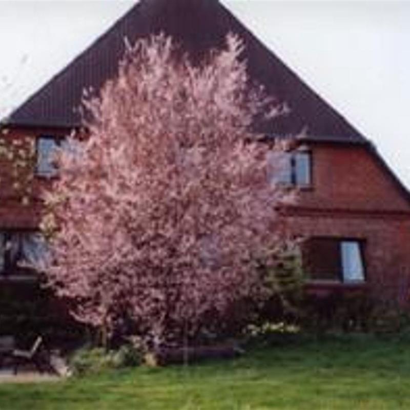 Ferielejlighed - 6 personer -  - Dorfstr. - 23911 - Kittlitz