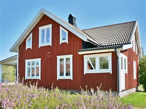 Holiday Home/Apartment - 6 persons -  - Norra Ekeryd - Skeppshult - 31402 - Långaryd