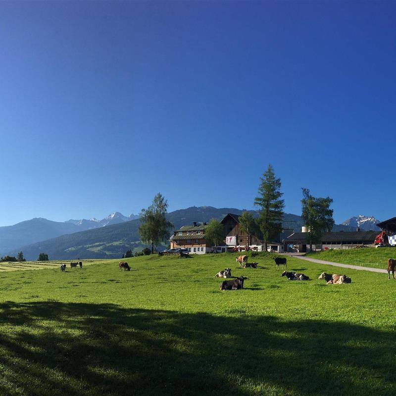 Bondegård - 6 personer -  - Leiten - 8972 - Ramsau Am Dachstein