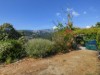 Image 26