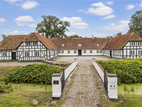 Fritidshus - 38 personer -  - Jerstrupvej - Nordfyn - 5400 - Bogense