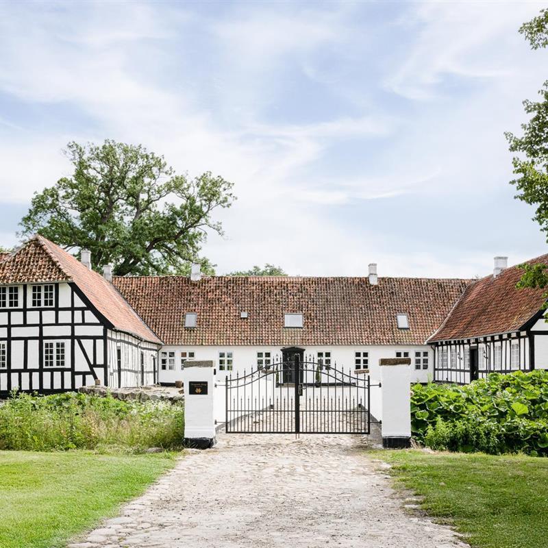 Sommerhus - 38 personer -  - Jerstrupvej - Nordfyn - 5400 - Bogense