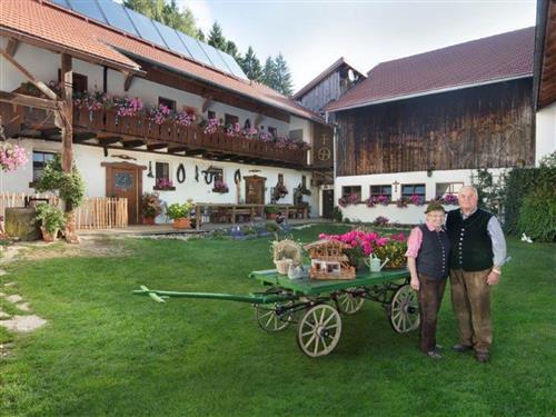 Ferielejlighed - 4 personer -  - Dorfstraße 7/OT Wolfertschlag - 94536 - Eppenschlag