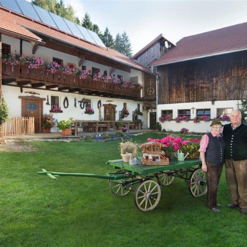 Ferielejlighed - 4 personer -  - Dorfstraße 7/OT Wolfertschlag - 94536 - Eppenschlag