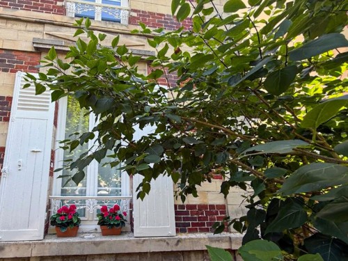 Sommerhus - 6 personer -  - Avenue de Condé - 60500 - Chantilly
