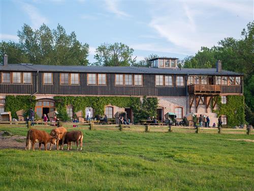 Bondegård - 5 personer -  - Zum Strande - 18230 - Rerik