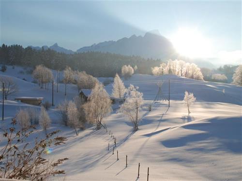 Ferieleilighet - 10 personer -  - Seelisberg - 6377