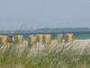 Afbeelding 19