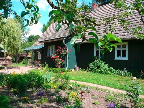 Holiday Home/Apartment - 8 persons -  - Polenzweg - 03096 - Burg Im Spreewald