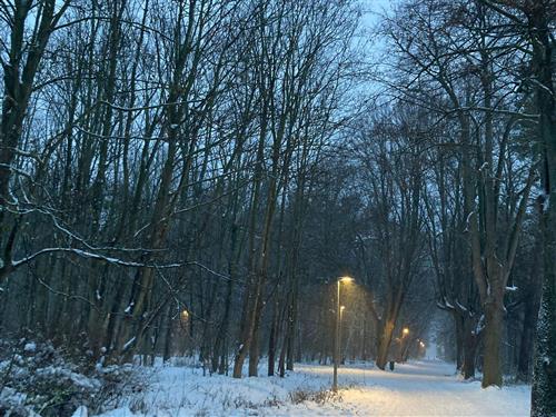 Ferielejlighed - 2 personer -  - Strandstraße - 18225 - Kühlungsborn