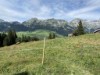 Bild 42 - Ude