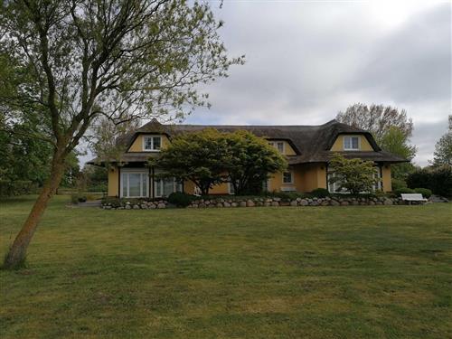 Ferielejlighed - 2 personer -  - Weg zum Hohen Ufer - 18347 - Ahrenshoop