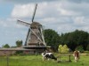 Bild 20