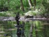 Bild 17