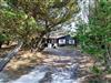 Billede 29