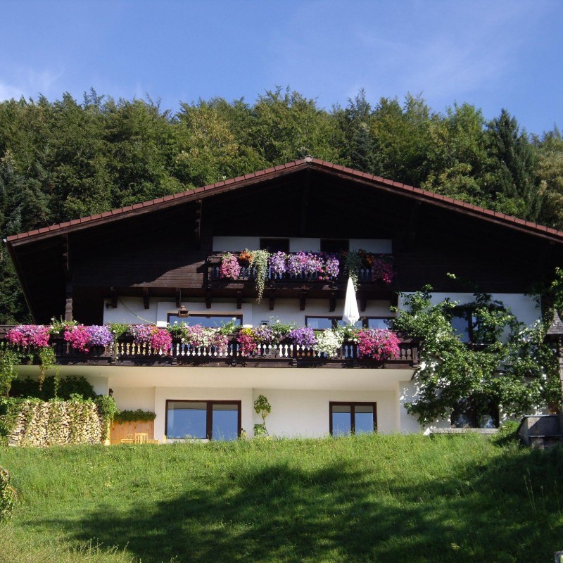 Ferielejlighed - 5 personer -  - Am Sonnenhang - 5323 - Ebenau
