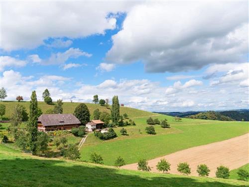 Semesterlägenhet - 4 personer -  - Rohrbach - 4938
