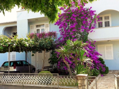 Holiday apartment - 4 persons -  - Ivana Matetica Ronjgova - 52440 - Porec