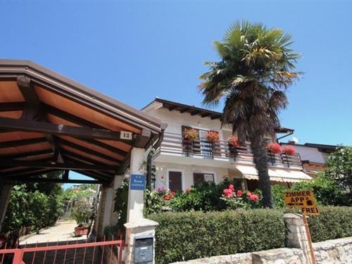 Semesterhus/Semesterlägenhet - 2 personer -  - Istarska - 52466 - Novigrad