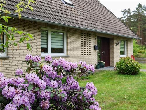 Ferienhaus - 4 Personen -  - Am Bahndamm - 29693 - Hademstorf