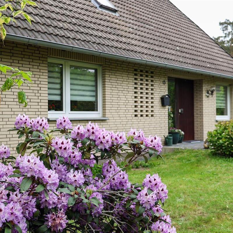 Ferielejlighed - 4 personer -  - Am Bahndamm - 29693 - Hademstorf