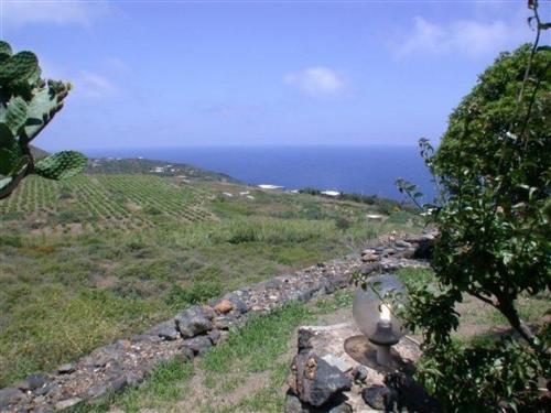 Feriehus - 6 personer -  - Pantelleria - 91017