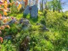Billede 22 - Grund