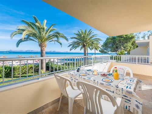 Feriehus / leilighet - 6 personer -  - 07400 - Port D'alcúdia, Illes Bal