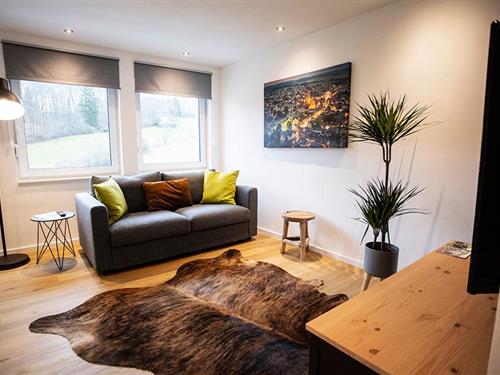 Ferieleilighet - 2 personer -  - Am Poppenberg - 59929 - Brilon