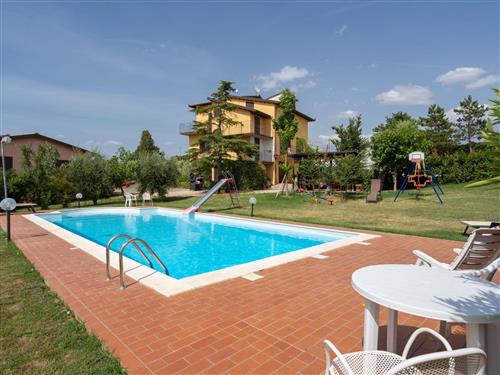 Feriehus - 9 personer -  - Foiano Della Chiana - 52045