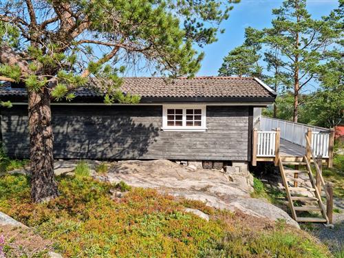 Feriehus - 4 personer -  - Oftenes hyttefelt. Utsikten X - 4580 - Lyngdal