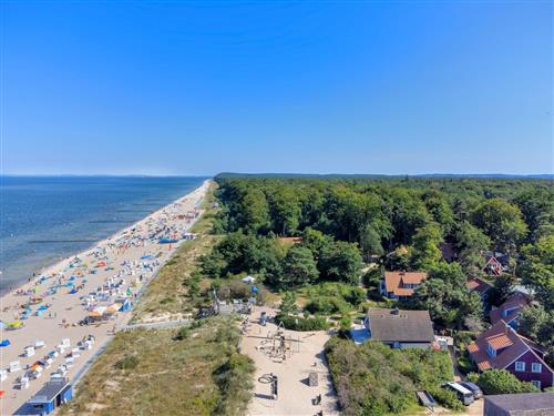 Feriehus / leilighet - 4 personer -  - Uferpromenade - 17459 - Ückeritz