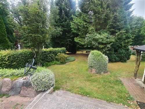 Ferieleilighet - 2 personer -  - Straße zur Kühlung - 18209 - Wittenbeck