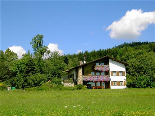 Feriehus / leilighet - 2 personer -  - Schlag - 94261 - Kirchdorf I. Wald