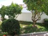 Bild 42
