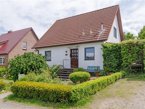 Ferieleilighet - 3 personer -  - Fulgengrund - 18225 - Kühlungsborn (Ost)