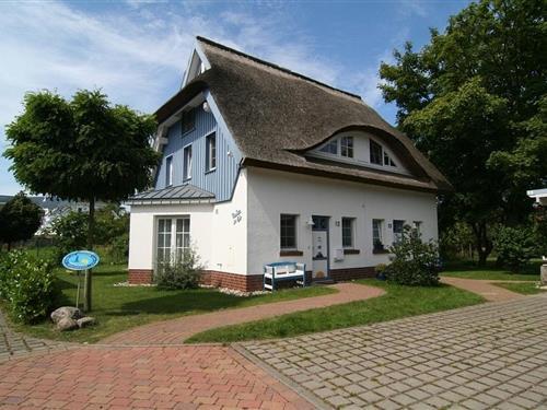 Feriehus - 6 personer -  - Likedeeler Weg - 18374 - Ostseeheilbad Zingst