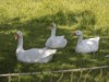 Image 11 - Outside