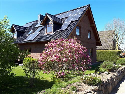 Ferielejlighed - 4 personer -  - Süeskoppel - 24376 - Kappeln