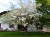 Bild 22