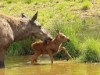 Bild 14