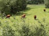Bild 21 - Aussen