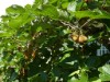 Bilde 23 - Inne