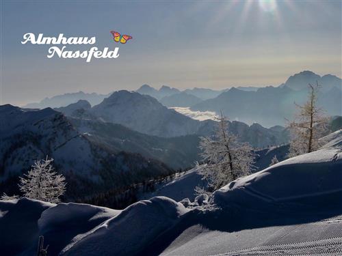 Ferielejlighed - 4 personer -  - Nassfeld - 9620 - Hermagor-Pressegger See