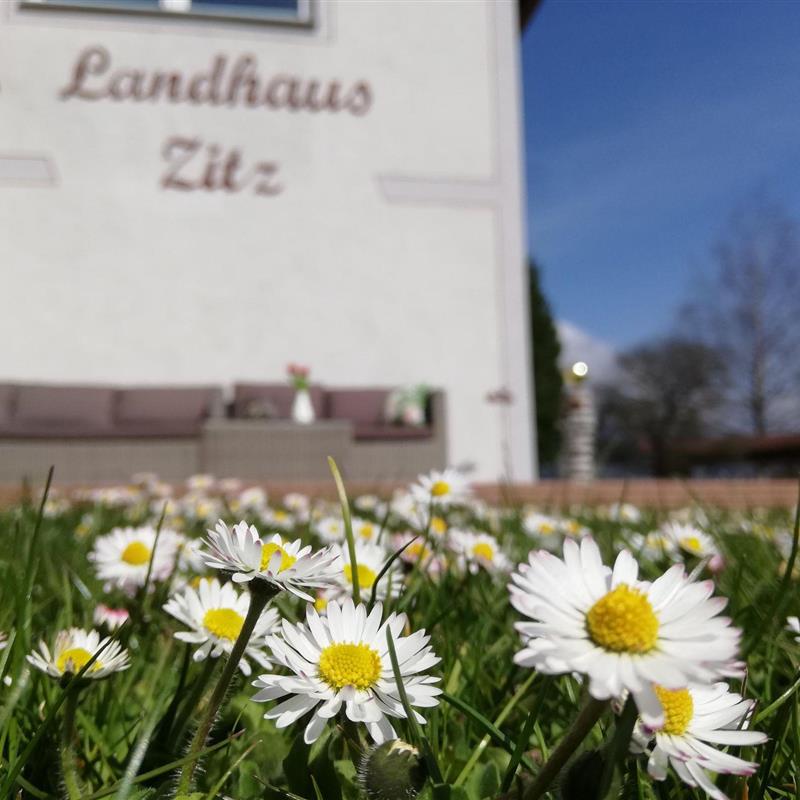 Ferielejlighed - 8 personer -  - Ratschfeld - 8853 - Ranten